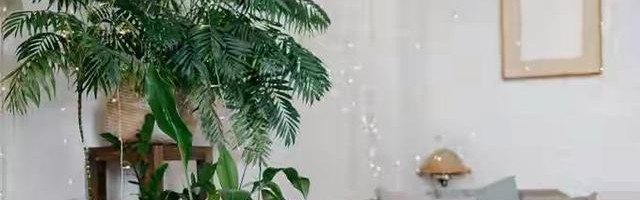 IM电竞登录入口-无法解释的玄学，不要不信